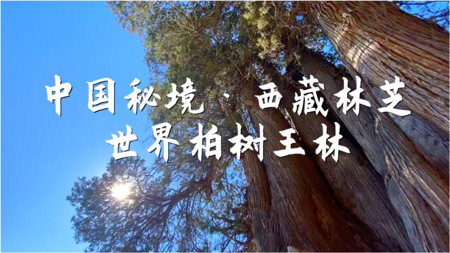 萌新水果连连看